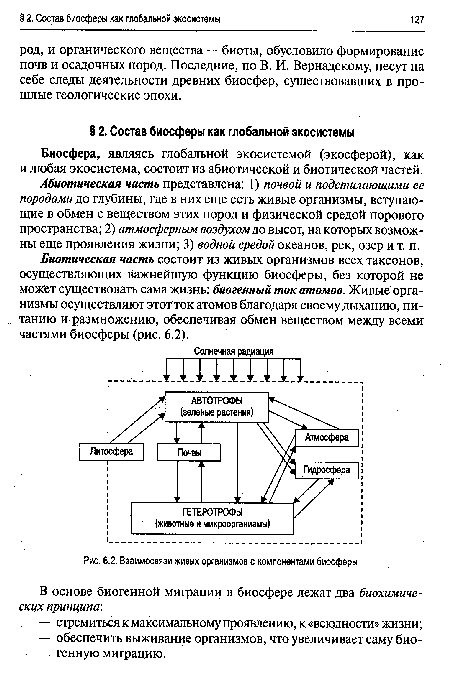 Взаимосвязи живых организмов с компонентами биосферы