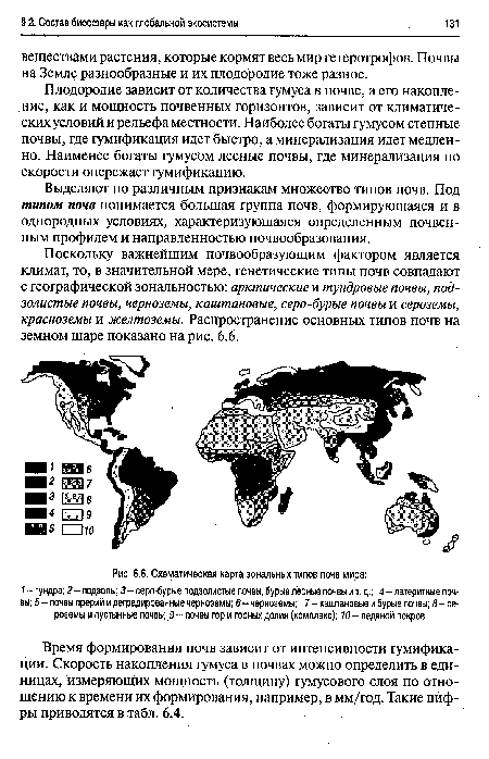 Схематическая карта зональных типов почв мира