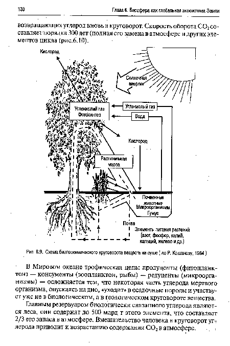 Схема биогеохимического круговорота веществ на суше (по Р. Кашанову, 1984)