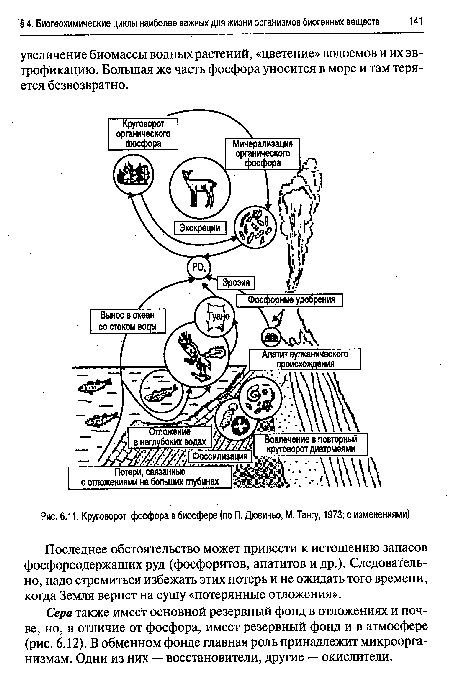 Круговорот фосфора в биосфере (по П. Дювиньо, М. Тангу, 1973; с изменениями)