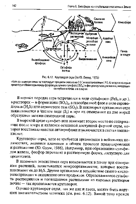 Круговорот серы (по Ю. Одуму, 1975)