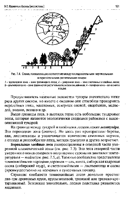 Схема, показывающая соответствие между последовательными вертикальными и горизонтальными растительными зонами