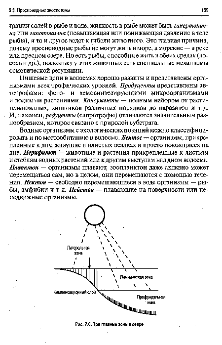 Три главные зоны в озере