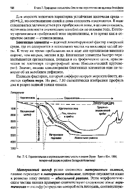 Горизонтальная и вертикальная зональность в океане (Хизен, Трап и Юнг, 1959, поперечный разрез в районе Западной Атлантики)