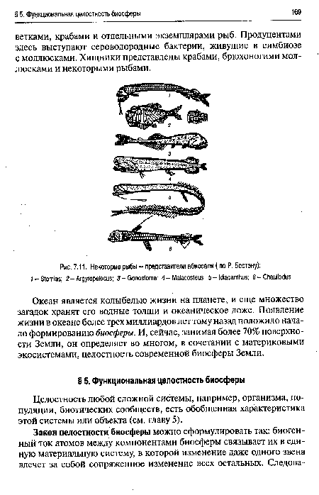 Некоторые рыбы - представители абиссали (по Р. Бертэну)