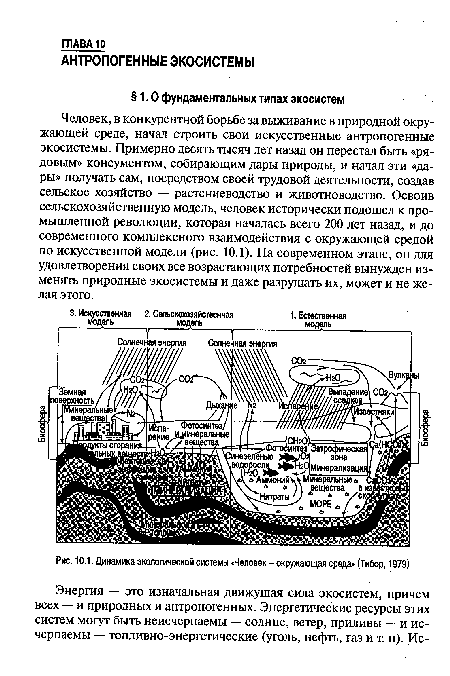 Динамика экологической системы «Человек - окружающая среда» (Тибор, 1979)