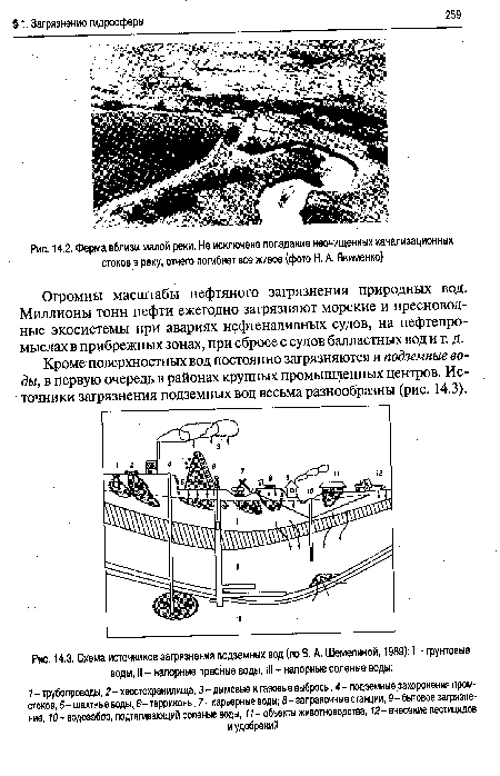 Схема источников загрязнения подземных вод (по В. А. Шемелиной, 1989)