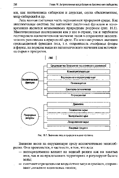 Значение леса в природе и жизни человека