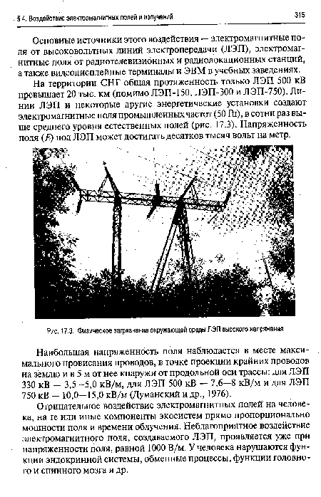 Физическое загрязнение окружающей среды ЛЭП высокого напряжения