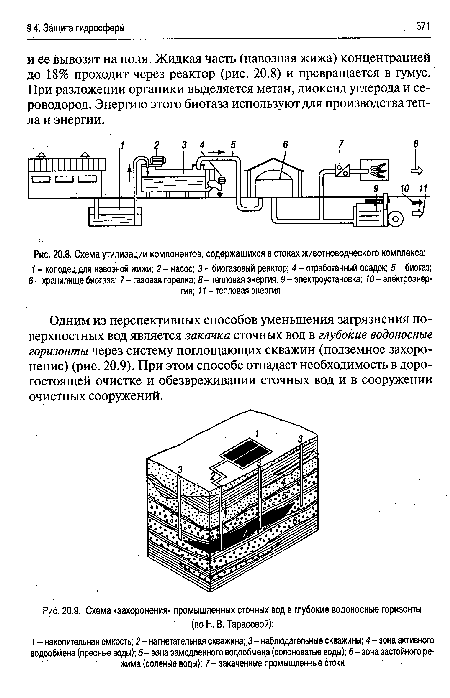 Схема утилизации компонентов, содержащихся в стоках животноводческого комплекса