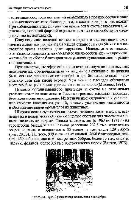 Зубр. В ряде заповедников имеются стада зубров