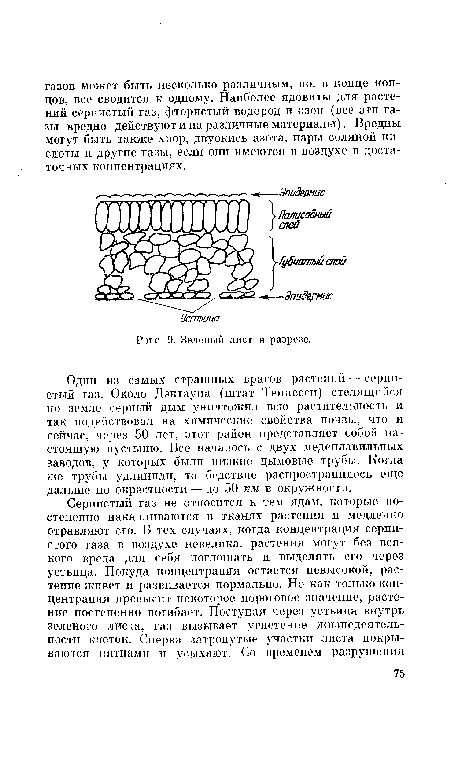 Один из самых страшных врагов растений — сернистый газ. Около Дэктауна (штат Теннесси) стелящийся по земле серный дым уничтожил всю растительность и так подействовал на химические свойства почвы, что и сейчас, через 50 лет, этот район представляет собой настоящую пустыню. Все началось с двух медеплавильных заводов, у которых были низкие дымовые трубы. Когда же трубы удлинили, то бедствие распространилось еще дальше по окрестности — до 50 км в окружности.