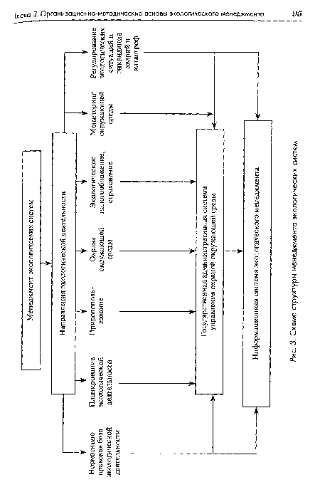 Схема структуры менеджмента экологических систем