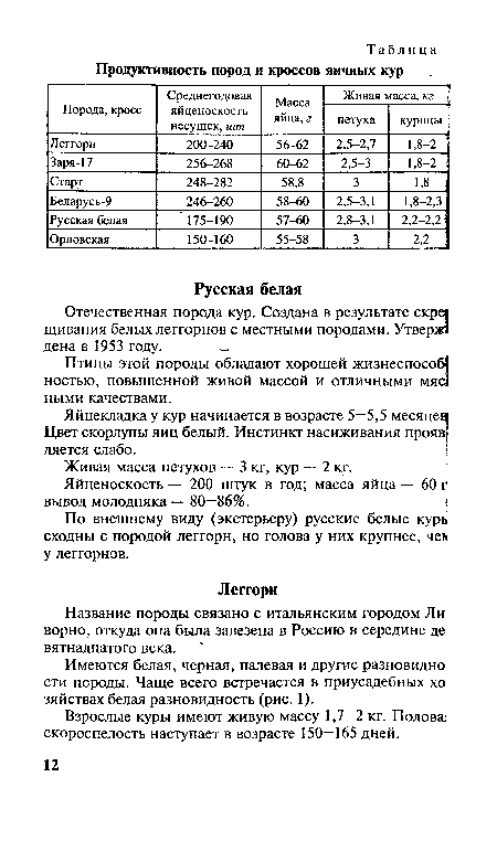 По внешнему виду (экстерьеру) русские белые курь сходны с породой леггорн, но голова у них крупнее, чел у леггорнов.