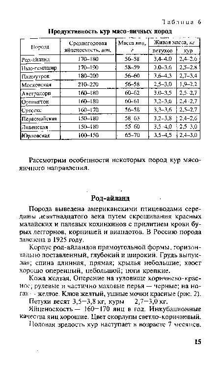 Корпус род-айландов прямоугольной формы, горизонтально поставленный, глубокий и широкий. Грудь выпуклая; спина длинная, прямая; крылья небольшие; хвост хорошо оперенный, небольшой; ноги крепкие.