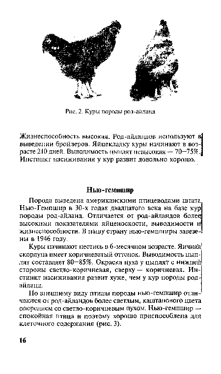 Жизнеспособность высокая. Род-айландов используют в выведении бройлеров. Яйцекладку куры начинают в возрасте 210 дней. Выводимость цыплят невысокая — 70—75%. Инстинкт насиживания у кур развит довольно хорошо.