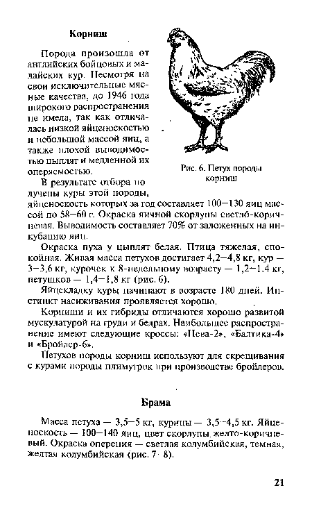 Корниши и их гибриды отличаются хорошо развитой мускулатурой на груди и бедрах. Наибольшее распространение имеют следующие кроссы: «Нева-2», «Балтика-4» и «Бройлер-6».