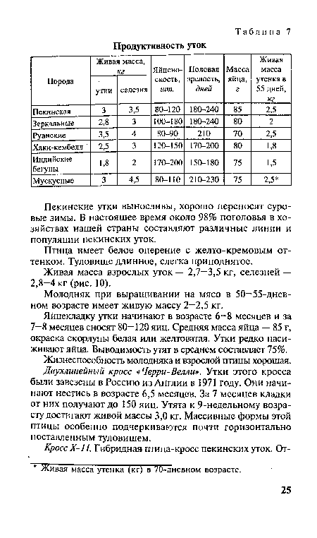 Живая масса взрослых уток — 2,7—3,5 кг, селезней — 2,8—4 кг (рис. 10).