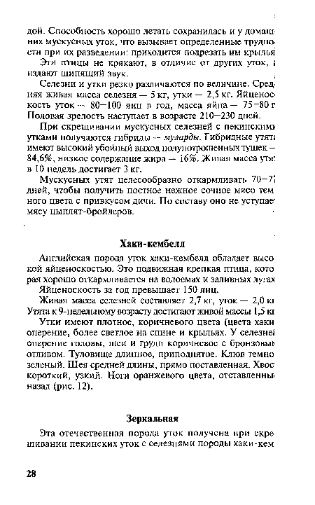 Селезни и утки резко различаются по величине. Сред> няя живая масса селезня — 5 кг, утки — 2,5 кг. Яйценос кость уток— 80—100 яиц в год, масса яйца — 75—80 г Половая зрелость наступает в возрасте 210—230 дней.