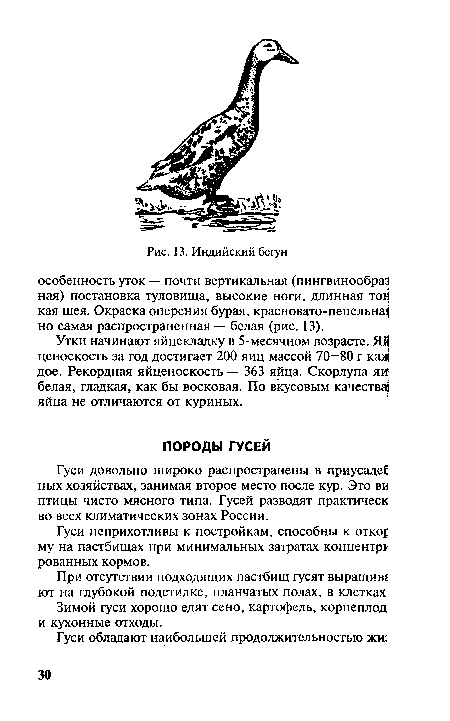 Зимой гуси хорошо едят сено, картофель, корнеплод и кухонные отходы.