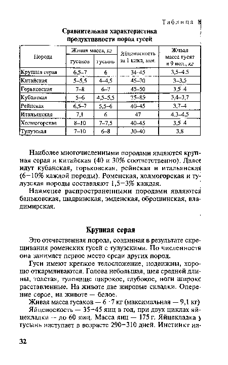 Это отечественная порода, созданная в результате скрещивания роменских гусей с тулузскими. По численности она занимает первое место среди других пород.