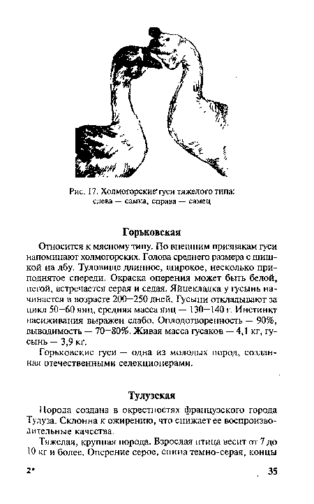 Относится к мясному типу. По внешним признакам гуси напоминают холмогорских. Голова среднего размера с шишкой на лбу. Туловище длинное, широкое, несколько приподнятое спереди. Окраска оперения может быть белой, пегой, встречается серая и седая. Яйцекладка у гусынь начинается в возрасте 200—250 дней. Гусыни откладывают за цикл 50—60 яиц, средняя масса яиц — 130—140 г. Инстинкт насиживания выражен слабо. Оплодотворенность — 90%, выводимость — 70—80%. Живая масса гусаков — 4,1 кг, гусынь — 3,9 кг.