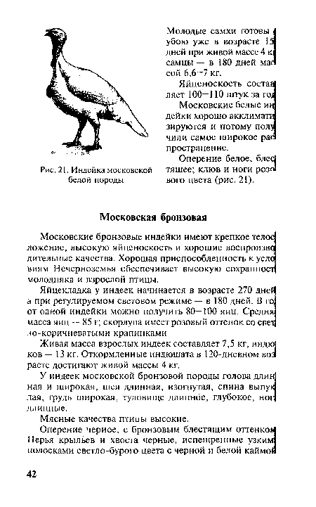 Живая масса взрослых индеек составляет 7,5 кг, индю ков — 13 кг. Откормленные индюшата в 120-дневном возя расте достигают живой массы 4 кг.