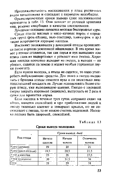 Лучшими наседками являются местные беспородные куры.