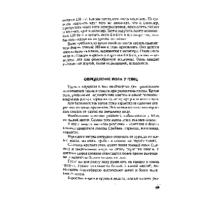 Селезень крупнее утки, имеет более тонкий голос (шипит) и закрученные вверх на спину перышки хвоста. У цветных пород селезни отличаются более ярким оперением и наличием белого кольца на шее.