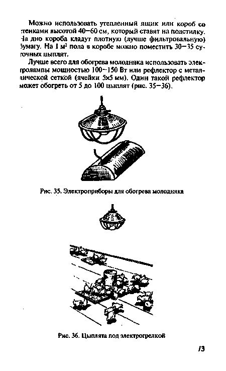 Цыплята под электрогрелкой