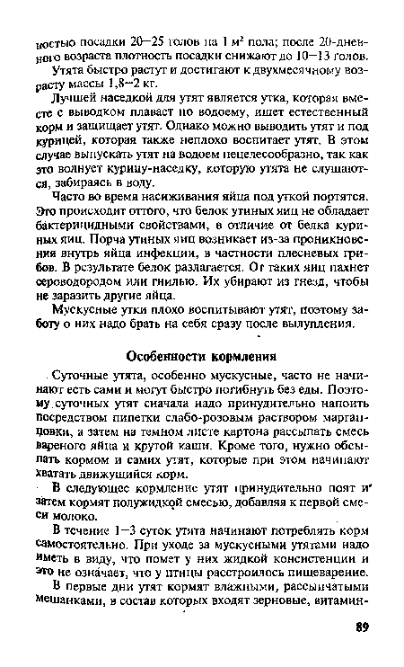 В течение 1 —3 суток утята начинают потреблять корм самостоятельно. При уходе за мускусными утятами надо иметь в виду, что помет у них жидкой консистенции и это не означает, что у птицы расстроилось пищеварение.