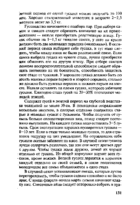 Гусеводство начинается с подбора пар. При выборе саамок и самцов следует обращать внимание на их происхождение — нельзя приобретать родственную птицу. Гусак обычно на 1—1,5 кг тяжелее самки, у него на крыле Должны быть два маленьких перышка («ножницы»). В осенний период самка выбирает себе гусака, и тут надо следить, чтобы между ними не было родственной связи. Если самка выбрала гусака из чужого стада, лучше приобрести ши обменять его на другую птицу. При отборе самцов помимо воспроизводительной способности следует обращать внимание на их боевитость, способность защитить свое стадо от чужаков. У хорошего гусака должно быть по десять маховых перьев первого и второго порядков, столько же должно быть рулевых верхних и нижних перьев на хвосте. Нельзя оставлять на племя гусака, которого забивают гусыни. Ежегодно стадо гусей на 20—30% пополняют молодой птицей.