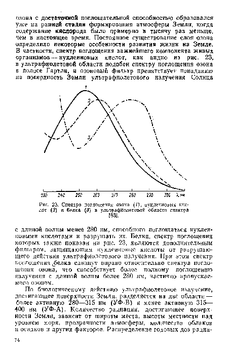 Спектра поглощения озона (/), нуклеиновых кислот (2) и белка (3) в ультрафиолетовой области спектра