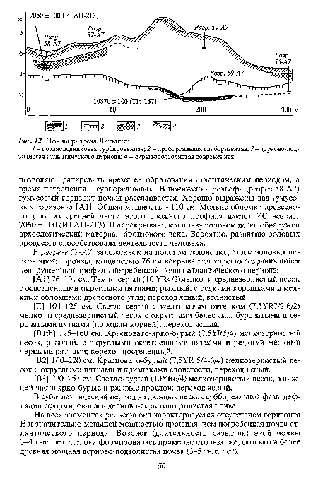 На всех элементах рельефа она характеризуется отсутствием горизонта Е и значительно меньшей мощностью профиля, чем погребенная почва атлантического периода. Возраст (длительность развития) этой почвы 3-4 тыс. лет, т.е. она формировалась примерно столько же, сколько и более древняя мощная дерново-подзолистая почва (3-5 тыс. лет).