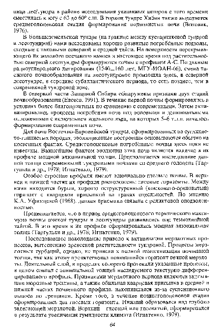 Предполагается, что в период среднеголоценового термического максимума почвы южной тундры и лесотундры развивались под темнохвойной тайгой. В это время в их профиле сформировалась мощная элювиальная толща (Таргульян и др., 1978; Игнатенко, 1979).