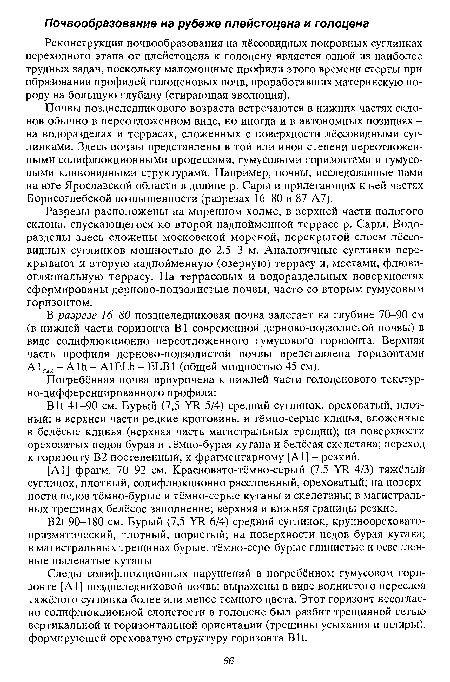 Следы солифлкжционных нарушений в погребенном гумусовом горизонте [А1] позднеледниковой почвы выражены в виде волнистого переслоя тяжёлого суглинка более или менее темного цвета. Этот горизонт несогласно солифлюкционной слоистости в голоцене был разбит трещинной сетью вертикальной и горизонтальной ориентации (трещины усыхания и шлиры), формирующей ореховатую структуру горизонта Bit.