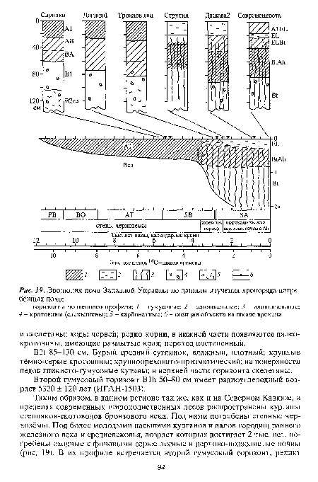 Эволюция почв Западной Украины по данным изучения хроноряда погребённых почв