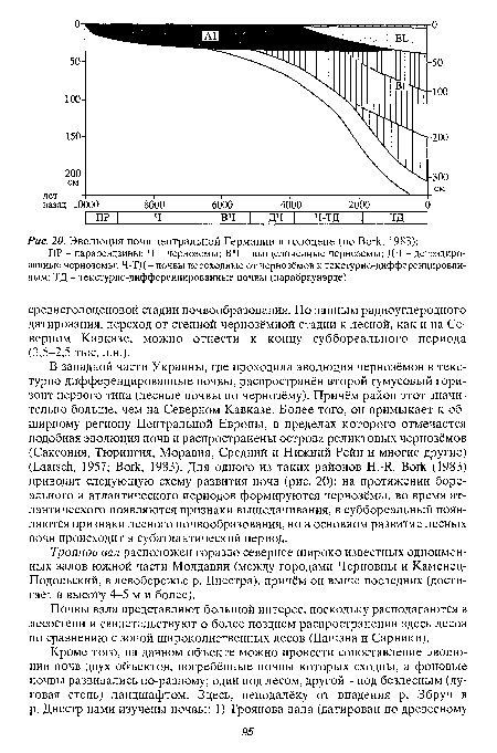 Эволюция почв центральной Германии в голоцене (по Bork, 1983)