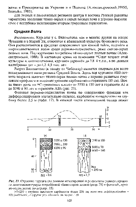 Строение кургана (по данным нивелировки) и результаты радиоуглеродного датирования гумуса погребённой тёмно-серой лесной (разр. 75) и фоновой дерно-во-подзолистой почв (разр. 18)