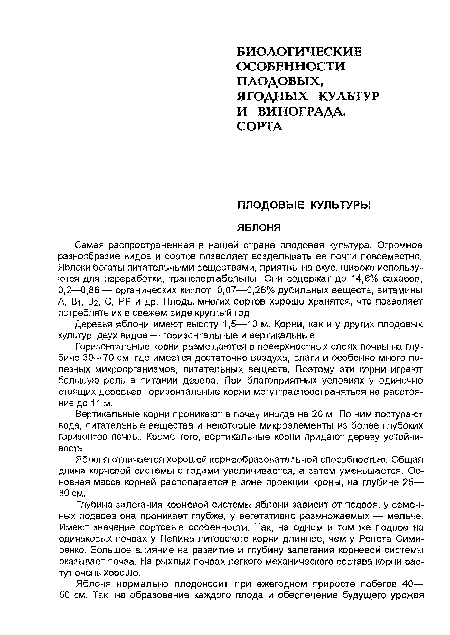 Яблоня отличается хорошей корнеобразовательной способностью. Общая длина корневой системы с годами увеличивается, а затем уменьшается. Основная масса корней располагается в зоне проекции кроны, на глубине 25— 80 см.