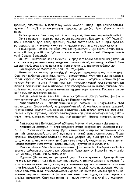 Зенга прекос — сорт раннего срока созревания. Выведен в ФРГ. Урожайность средняя. Куст среднерослый, листья светло-зеленые. Ягоды средних размеров, округло-конические, светло-красные, высоких вкусовых качеств.