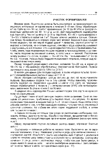 В настоящее время для посадки подвоев, а также ягодных культур проходит производственное испытание машина СПН-4.