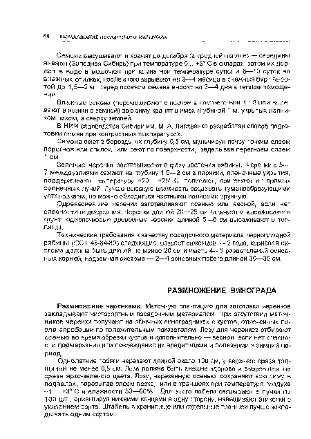 Однолетние побеги нарезают длиной около 100 см, у верхнего среза толщиной не менее 0,5 см. Лоза должна быть внешне здорова и вызревшая, на срезе ярко-зеленого цвета. Лозу, нарезанную осенью, сохраняют всю зиму в подвалах, пересыпав слоем песка, или в траншеях при температуре воздуха -1... +3° С и влажности 50—60%. Для этого побеги связывают в пучки по 100 шт., ориентируя нижними концами в одну сторону, навешивают этикетки с указанием сорта. Штабель в хранилище или отдельные траншеи лучше закладывать одним сортом.