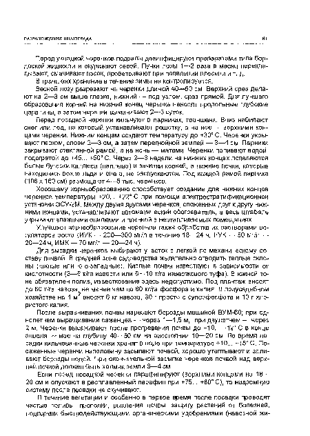 Весной лозу разрезают на черенки длиной 40—50 см. Верхний срез делают на 2—3 см выше глазка, нижний — под узлом, срез прямой. Для лучшего образования корней на нижний конец черенка наносят продольные глубокие царапины, а затем черенки вымачивают 2—3 суток.