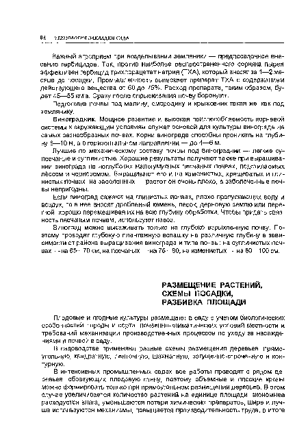 В садоводстве применяют разные схемы размещения деревьев: прямоугольную, квадратную, ленточную, шахматную, загущенно-строчечную и контурную.