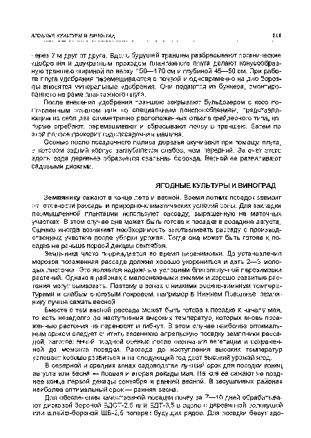 Осенью после посадочного полива деревья окучивают при помощи плуга, в котором задний корпус заглубляется слабее, чем передний. За счет этого вдоль ряда деревьев образуется свальная борозда. Весной ее разваливают садовыми дисками.