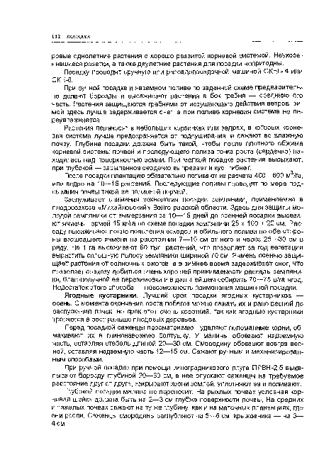 После посадки плантацию обязательно поливают из расчета 400—600 м3/га, или ведро на 10—15 растений. Последующие поливы проводят по мере подсыхания почвы такой же поливной нормой.