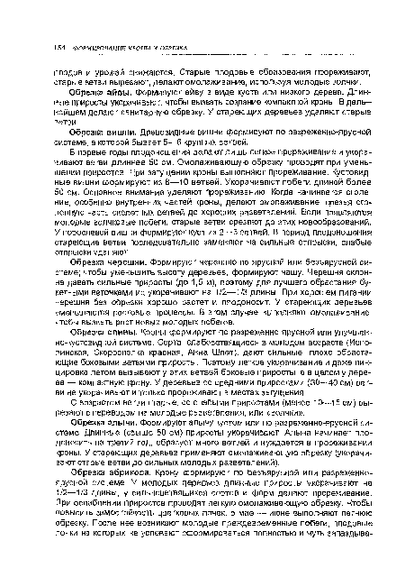 Обрезка айвы. Формируют айву в виде куста или низкого дерева. Длинные приросты укорачивают, чтобы вызвать создание компактной кроны. В дальнейшем делают санитарную обрезку. У стареющих деревьев удаляют старые ветви.