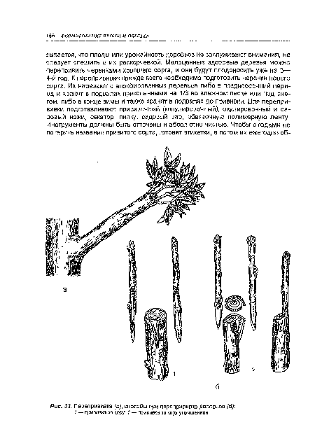 Перепрививка (а), способы при перепрививке деревьев (6)