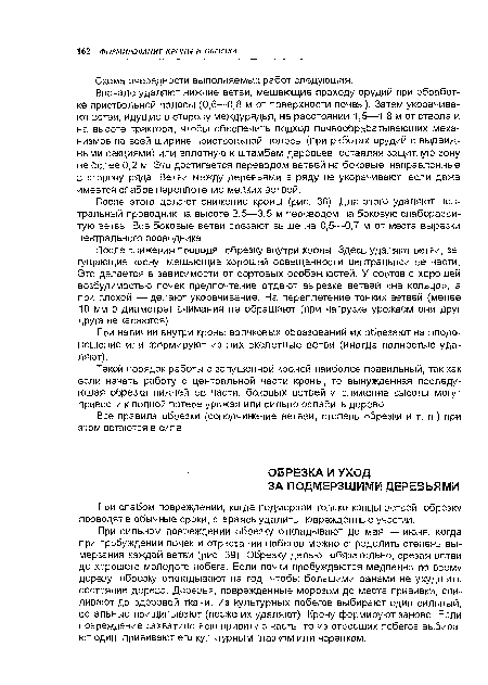 Вначале удаляют нижние ветви, мешающие проходу орудий при обработке приствольной полосы (0,6—0,8 м от поверхности почвы). Затем укорачивают ветви, идущие в сторону междурядья, на расстоянии 1,5—1,8 м от ствола и на высоте трактора, чтобы обеспечить подход почвообрабатывающих механизмов по всей ширине приствольной полосы (при работах орудий с выдвижными секциями) или вплотную к штамбам деревьев, оставляя защитную зону не более 0,2 м. Это достигается переводом ветвей на боковые, направленные в сторону ряда. Ветви между деревьями в ряду не укорачивают, если даже имеется слабое переплетение мелких ветвей.